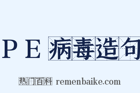 PE病毒造句是什么意思的图片
